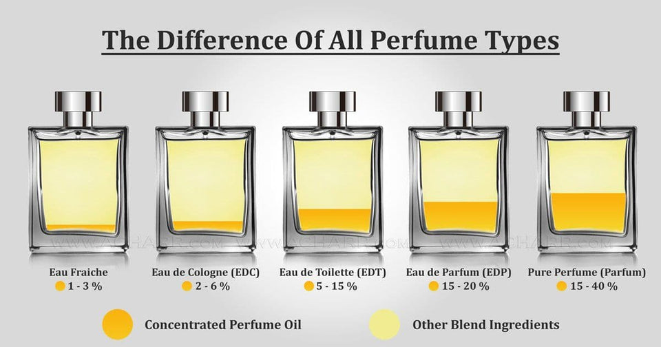 GUIDE TO ALL TYPES OF PERFUME EXPLAINED